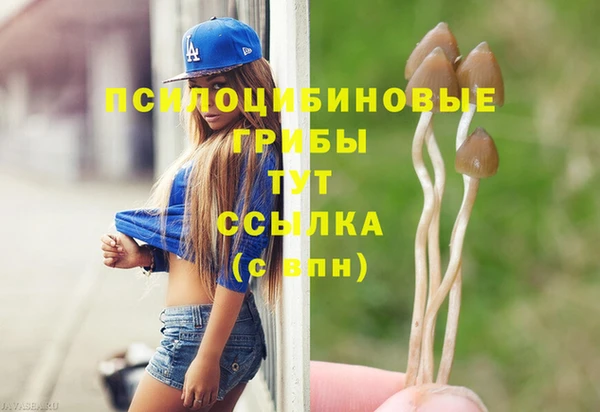 синтетический гашиш Армянск